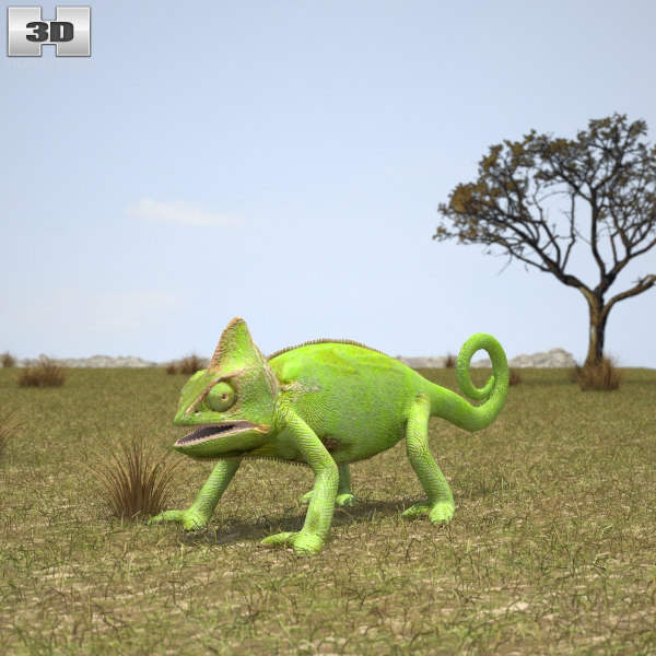 Veiled Chameleon 3d Model Turbosquid 1154173 Veiled Chameleon 3d Model Turbosquid 1154173