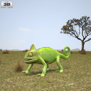 veiled chameleon 3D model