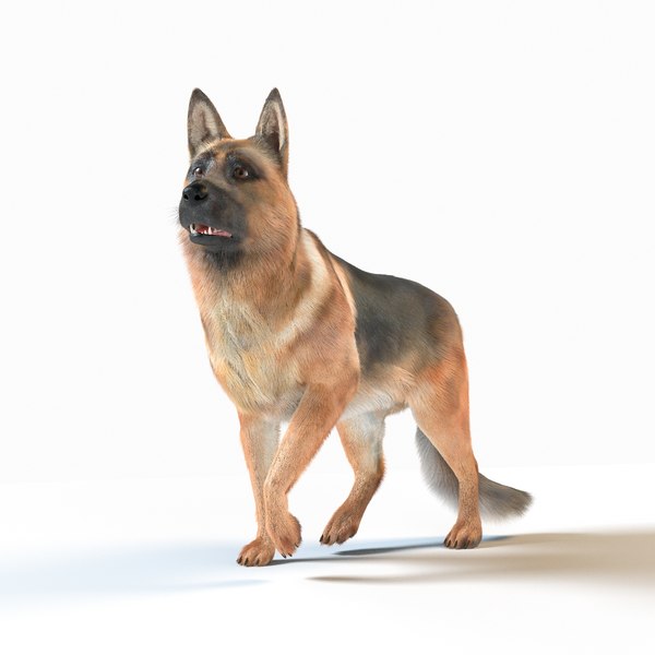 german-shepherd-rig-fur-3D_600.jpg