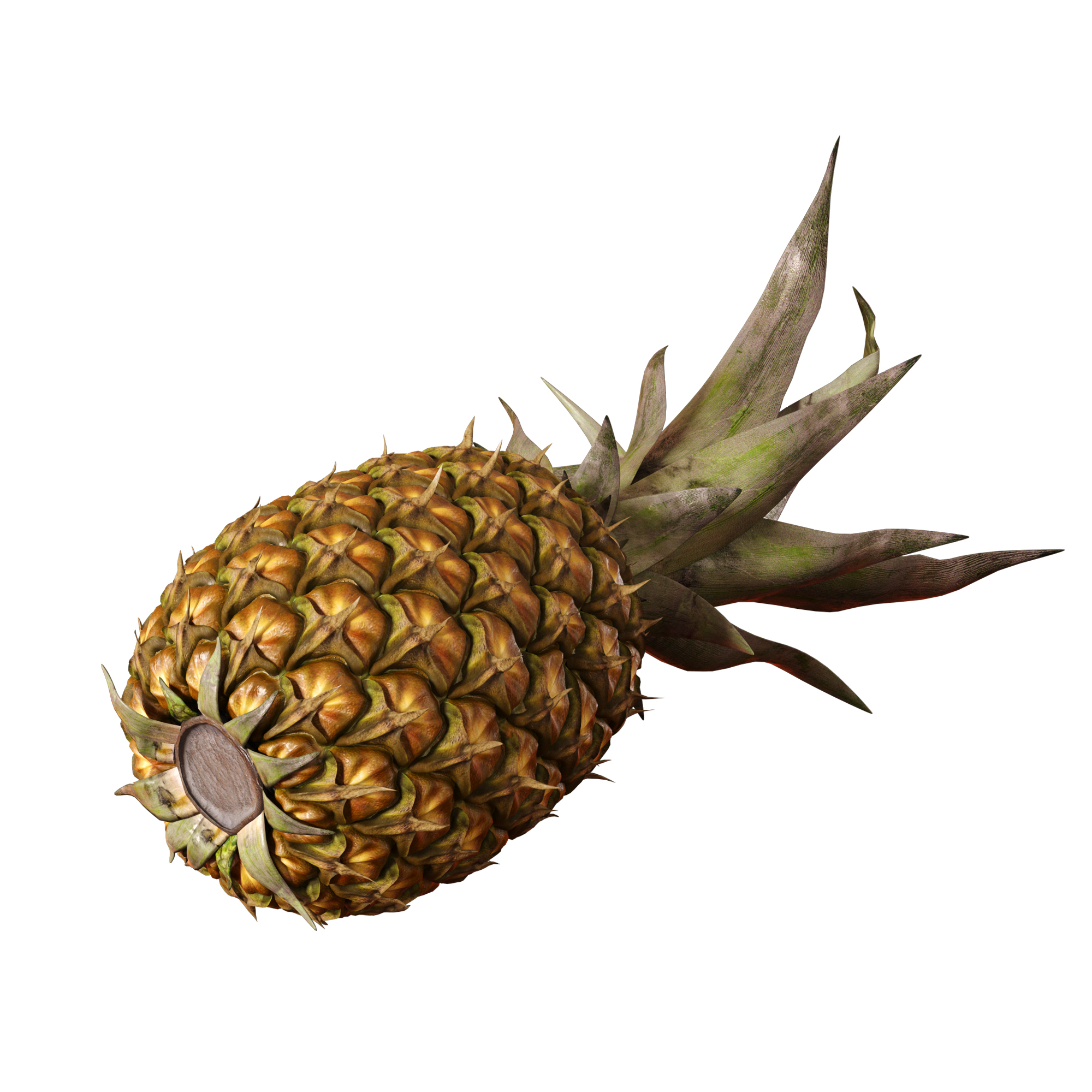 realistic-pineapple-3d-model-turbosquid-1154759