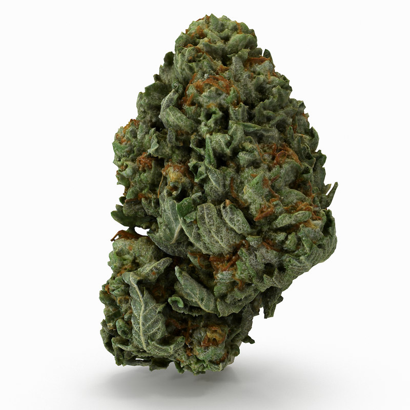 Cannabis bud 3D  model  TurboSquid 1155414