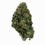 cannabis bud 3D model