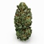 cannabis bud 3D model