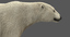 polar bear rigged fur model