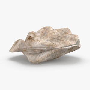 3D clam-shells---shell-03 model