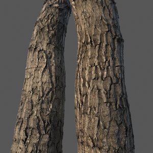tree bark 4k 3D