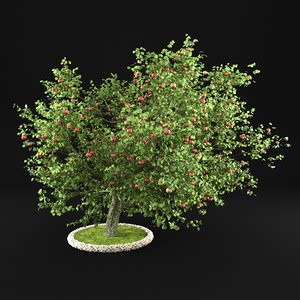 3D model apple tree