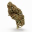 cannabis bud scan model