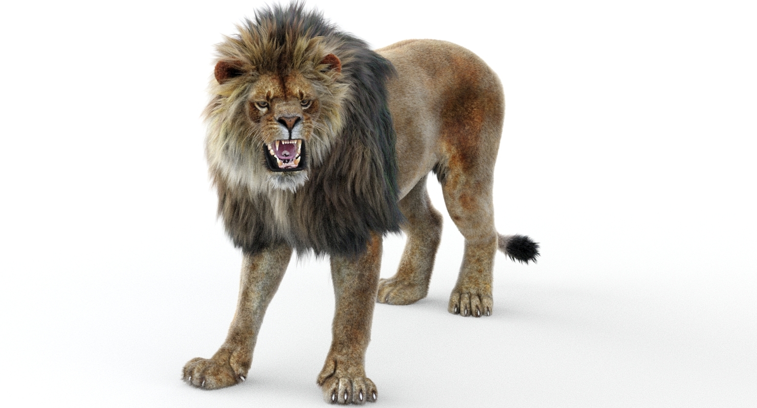 Lion 2 fur colors model - TurboSquid 1156859