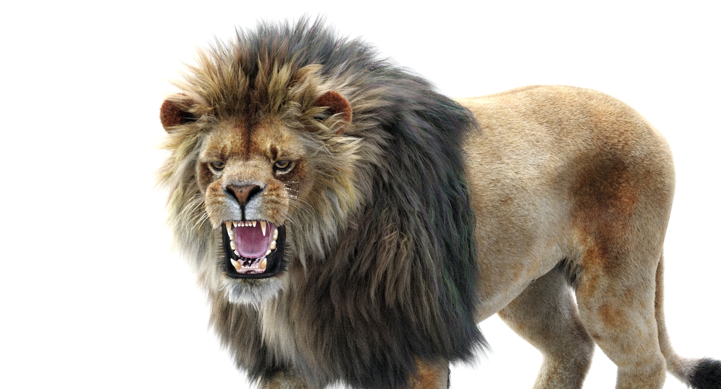 Lion 2 fur colors model - TurboSquid 1156859