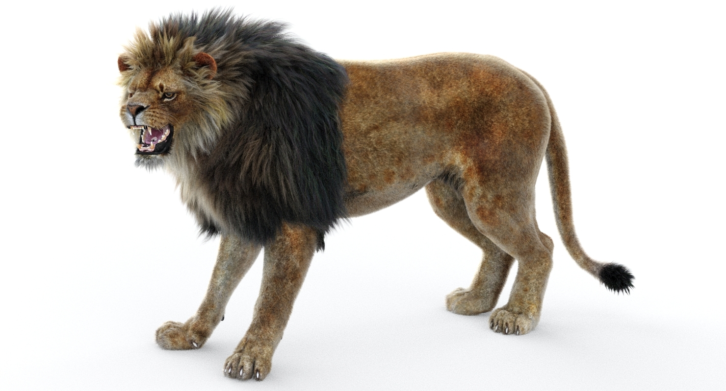 Lion 2 fur colors model - TurboSquid 1156859