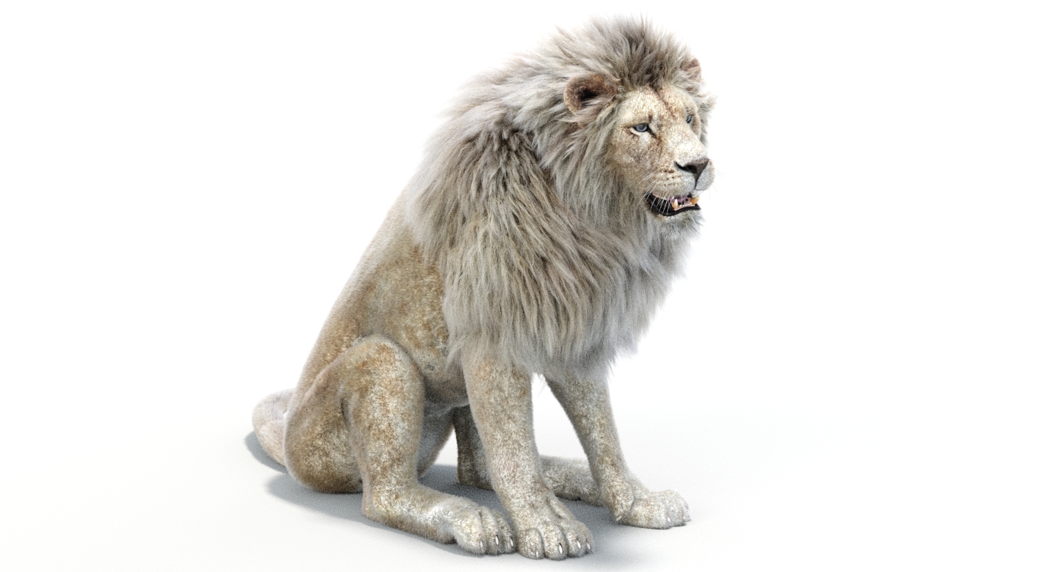 Lion 2 fur colors model - TurboSquid 1156859