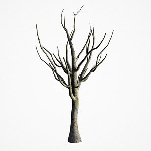 3D old tree 02 model