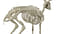 deer skeleton 3D