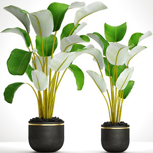 3D banana plants