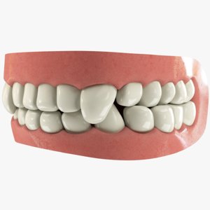 teeth gums tongue 3D model