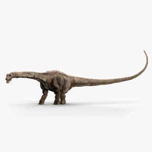 3D model diplodocus dinosaur animate