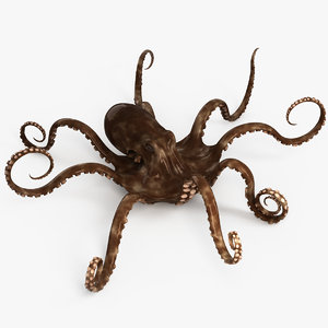 3D octopus rigged model