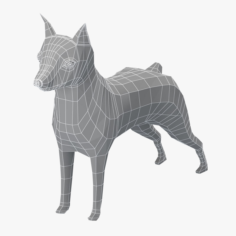 Base Mesh Mini Pinscher 3d Model Turbosquid 1159112