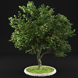 3D apple tree