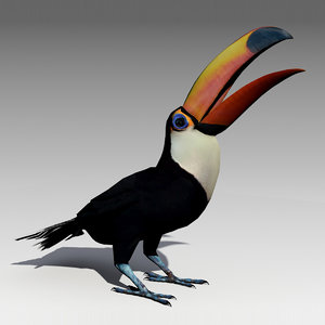 toucan animations 3D model