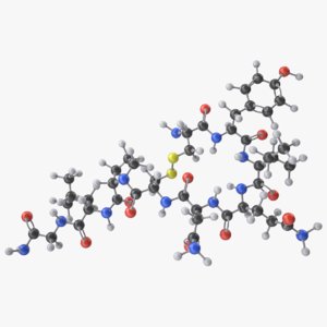 3D model oxytocin molecule