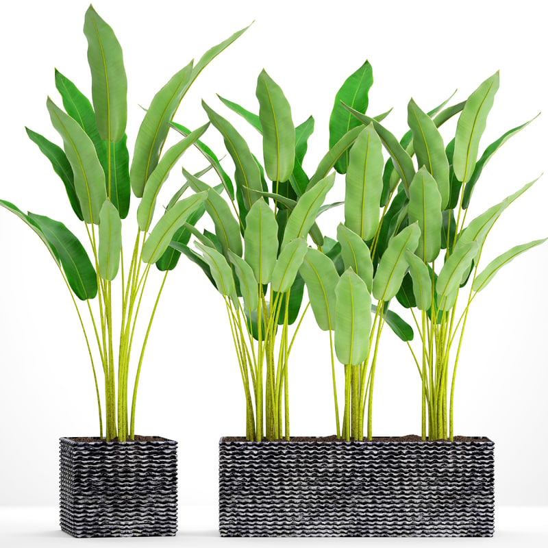 3d plants free download