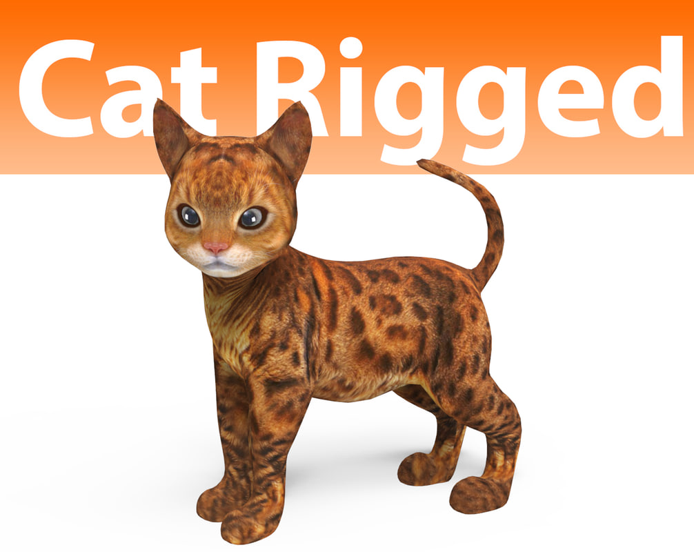  Cute  cat  rigged 3D  model  TurboSquid 1160026