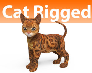 cute cat rigged 3D model