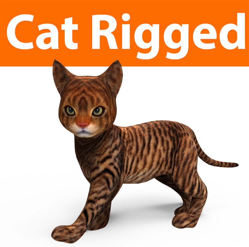  Cute  cat  rigged 3D  model TurboSquid 1160046