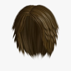 3D hairstyle 2 hair