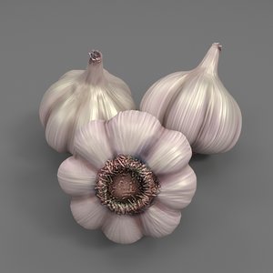 3D garlic realistic