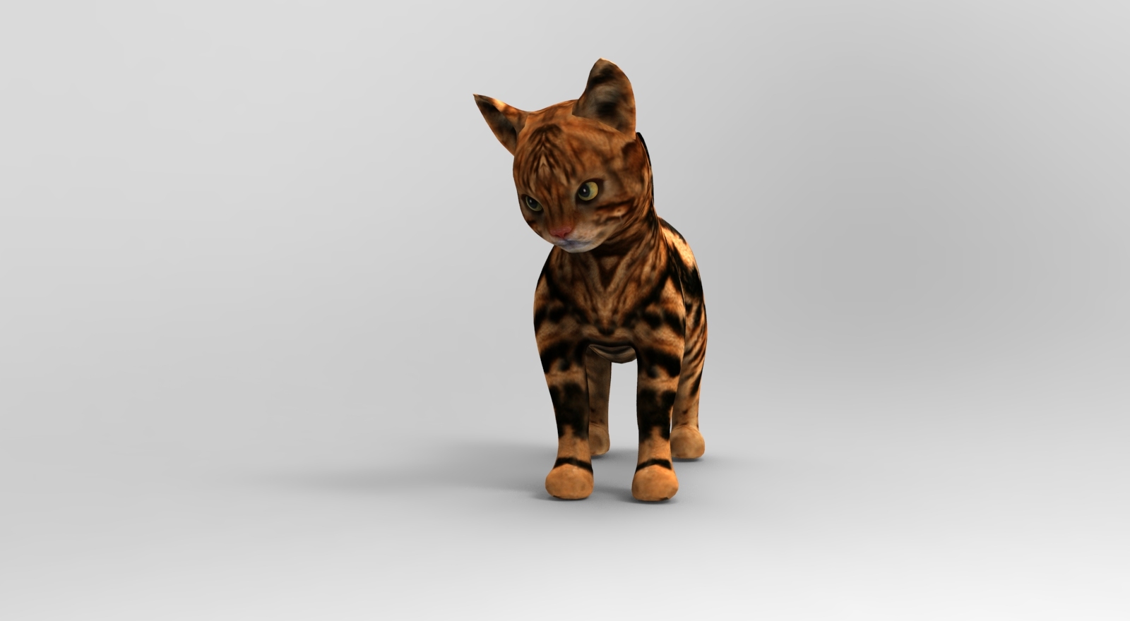 可爱的猫被操纵3d模型