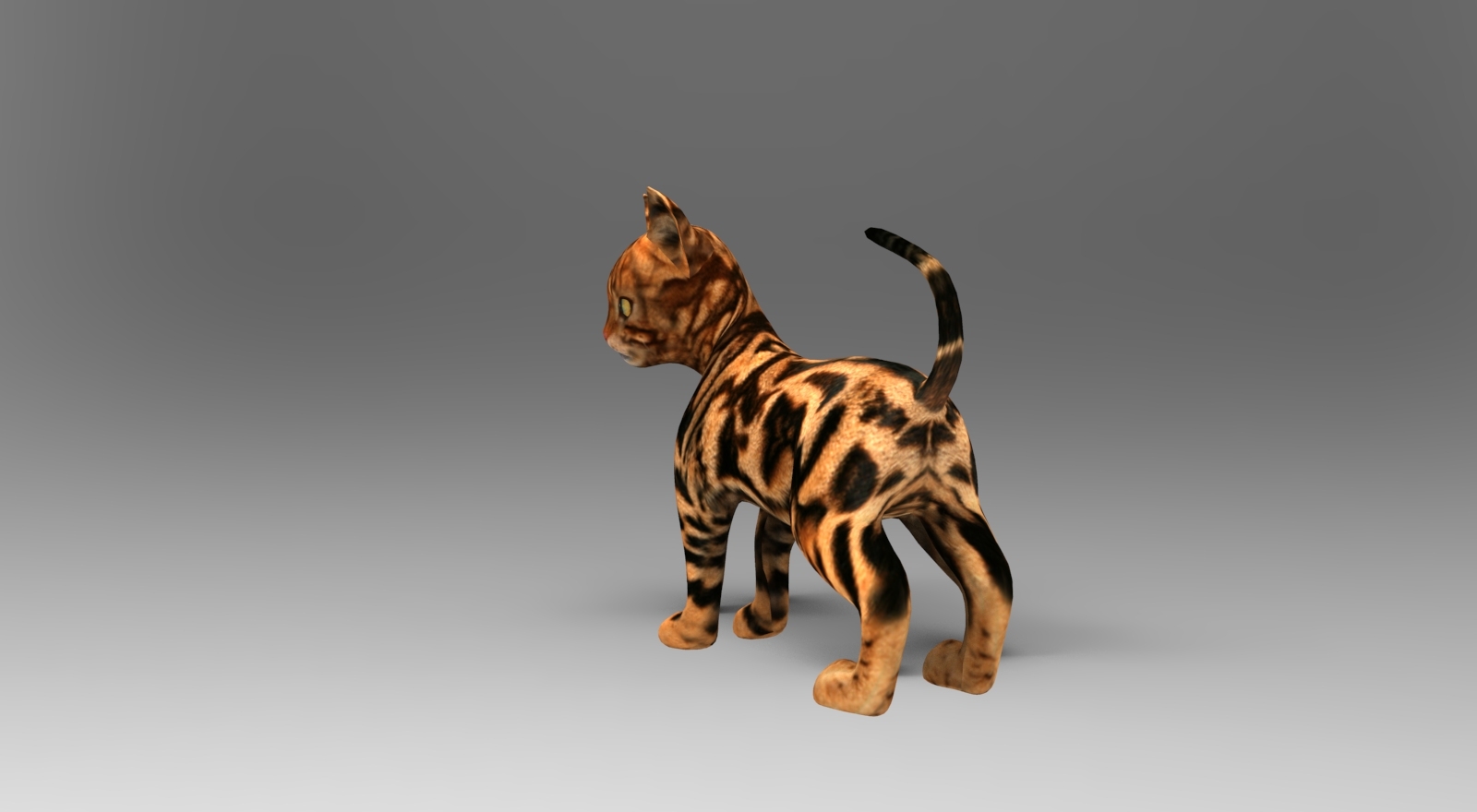 可爱的猫被操纵3d模型