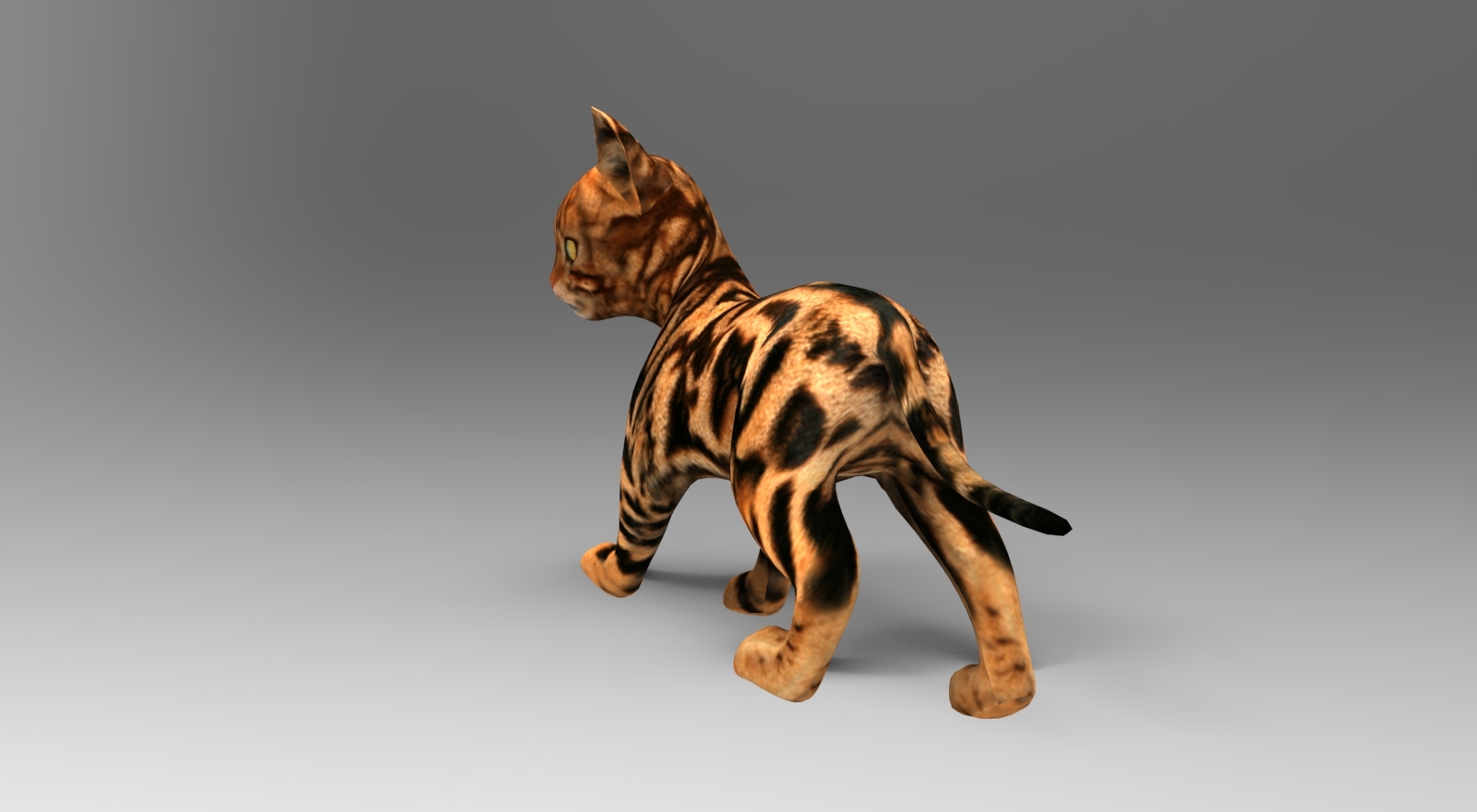 可爱的猫被操纵3d模型