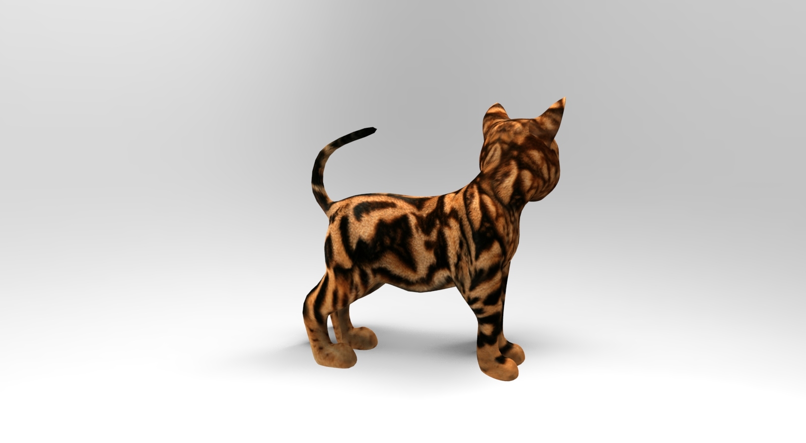 可爱的猫被操纵3d模型