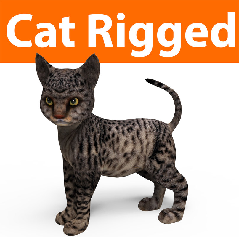  3D  model  cute cat  rigged  TurboSquid 1160399