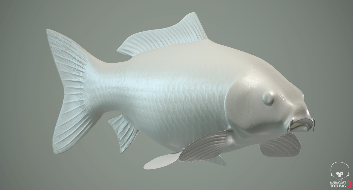 金鲤鱼锦鲤pbr游戏准备好了3d模型