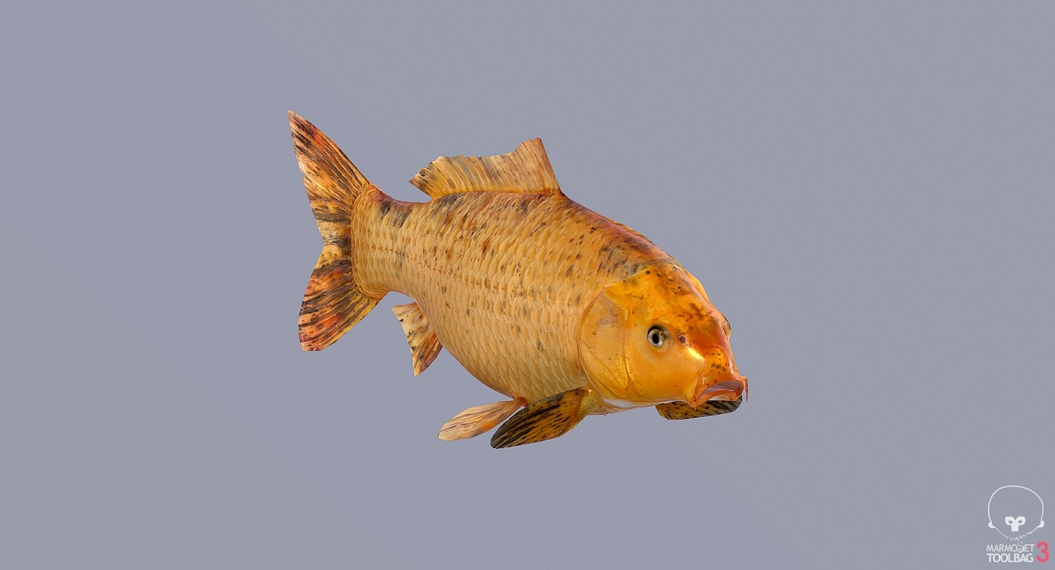 pbrϷ׼ģ