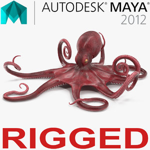 octopus vulgaris rigged 3D model