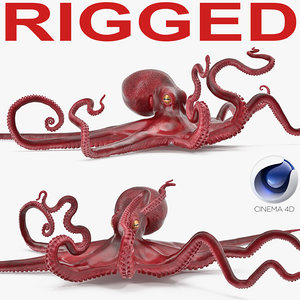 3D model octopus vulgaris rigged