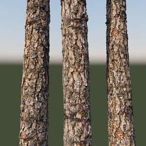pine bark 8k 3D model