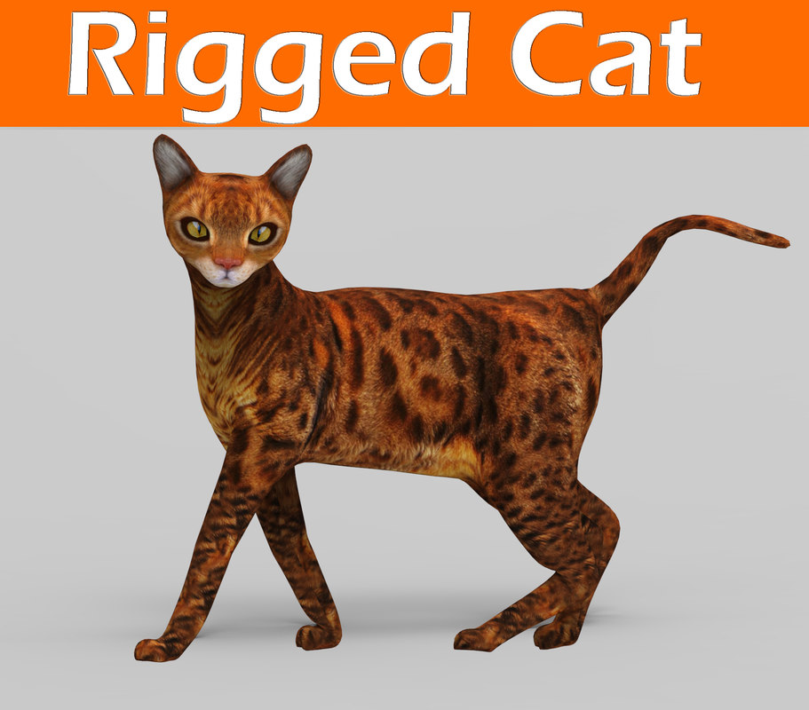  Cat  rigged  3D  model  TurboSquid 1161442