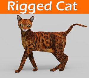 cat rigged 3D model