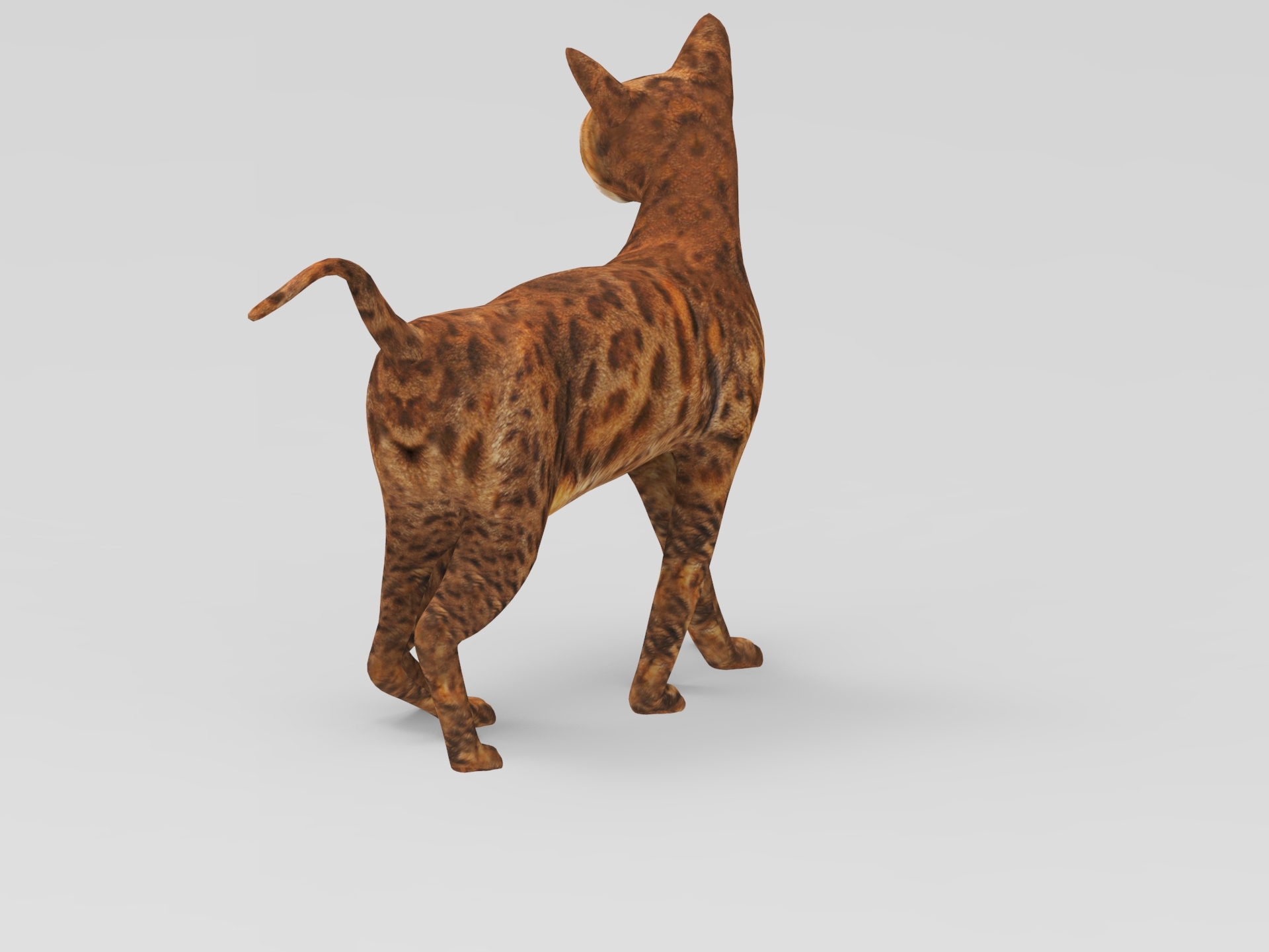 猫被操纵了3d模型