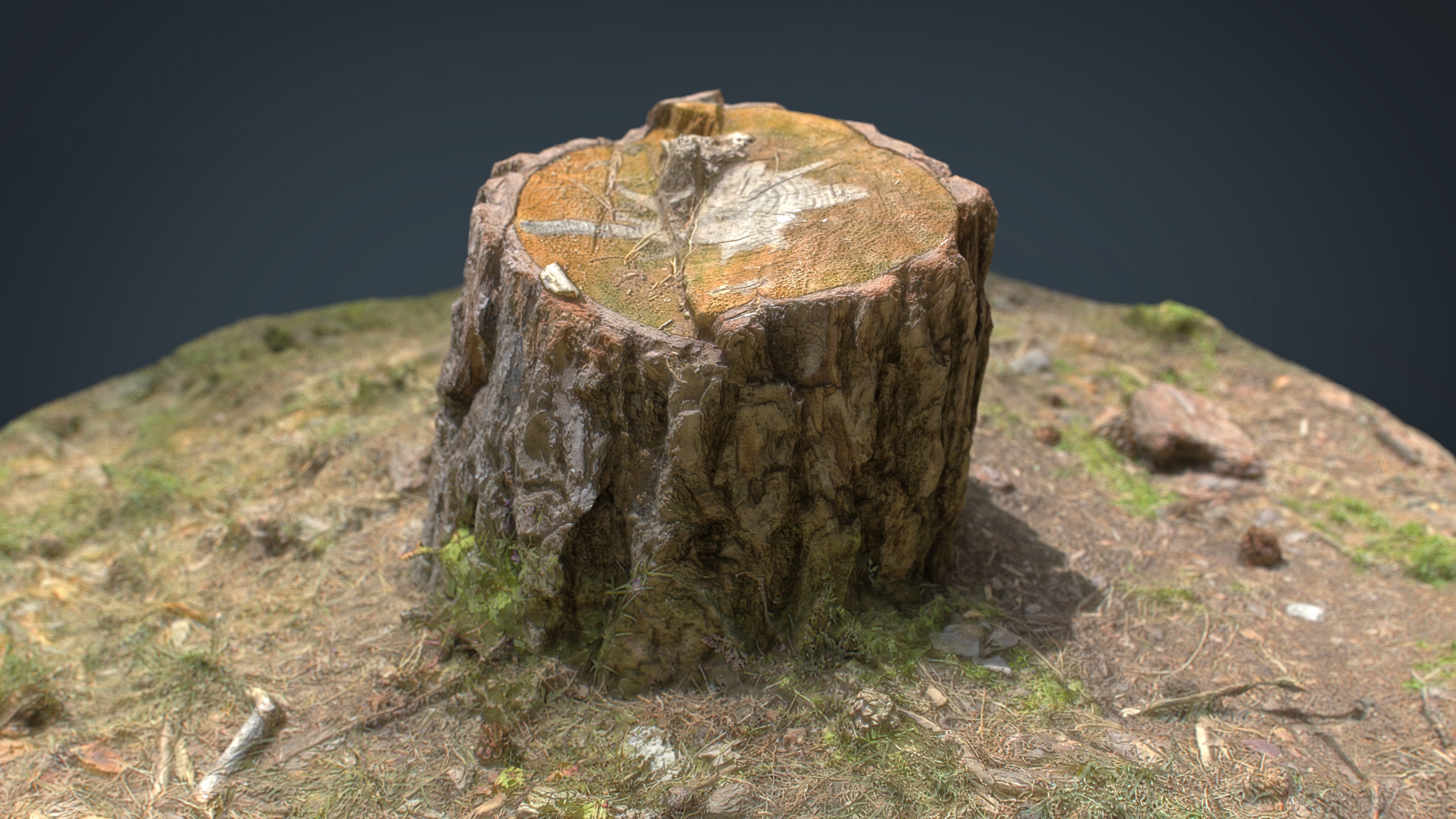 3d realistic tree stump