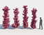 3D bougainvillea plants suspended model