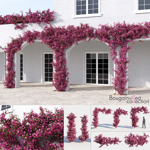 3D bougainvillea plants suspended model