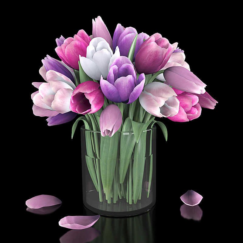  Tulip  flower 3D  model  TurboSquid 1161694