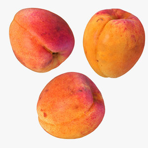 3 realistic apricots 3D